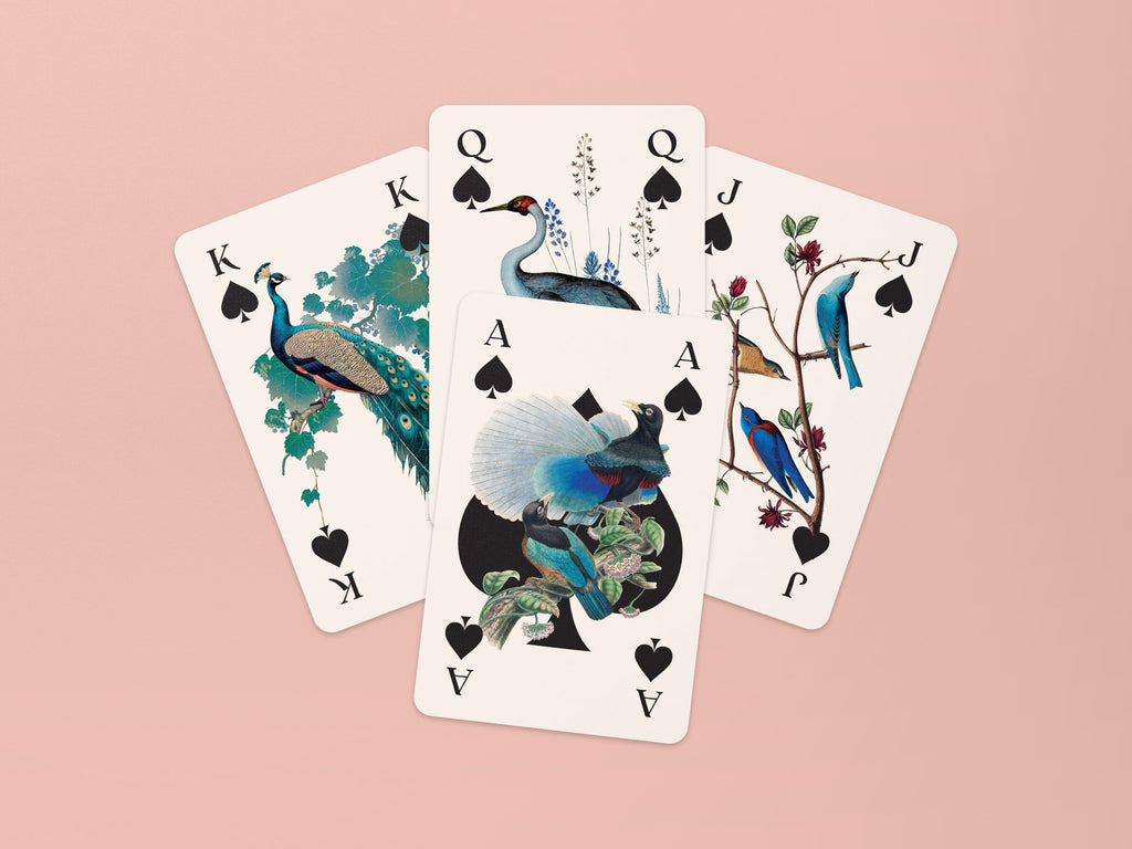 Mini Jeu de Cartes - Oiseaux