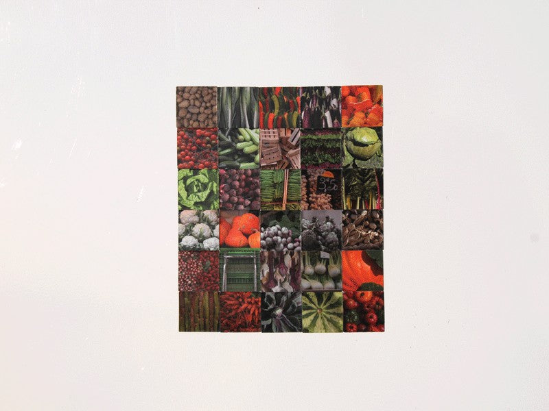 Magnetic mosaic - Vegetable Patchwork