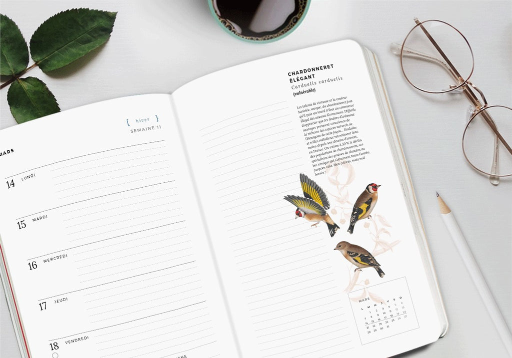 Agenda Oiseaux 2022