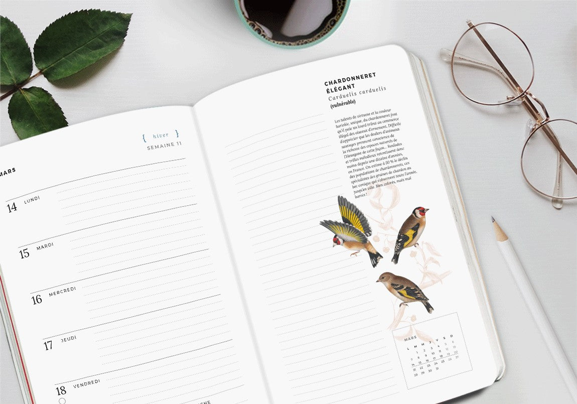 Agenda Oiseaux 2022