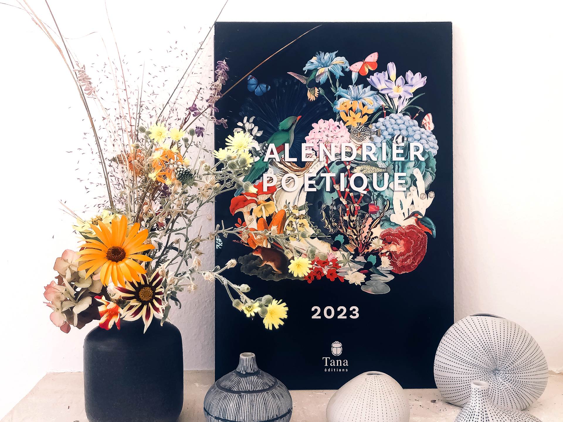Découvre le magnifique calendrier 2024 avec des images de la  Nouvelle-Zélande ! !! 